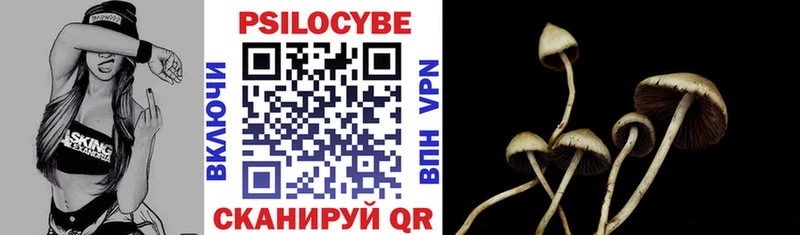 Псилоцибиновые грибы Psilocybine cubensis  Пыталово 